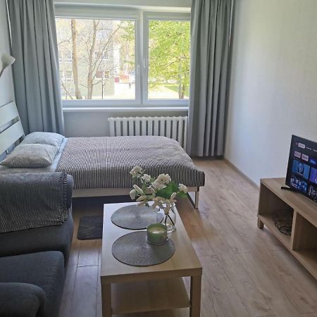 Modern Studio Debreceno, Self-Check-In, Free Parking 克莱佩达 外观 照片