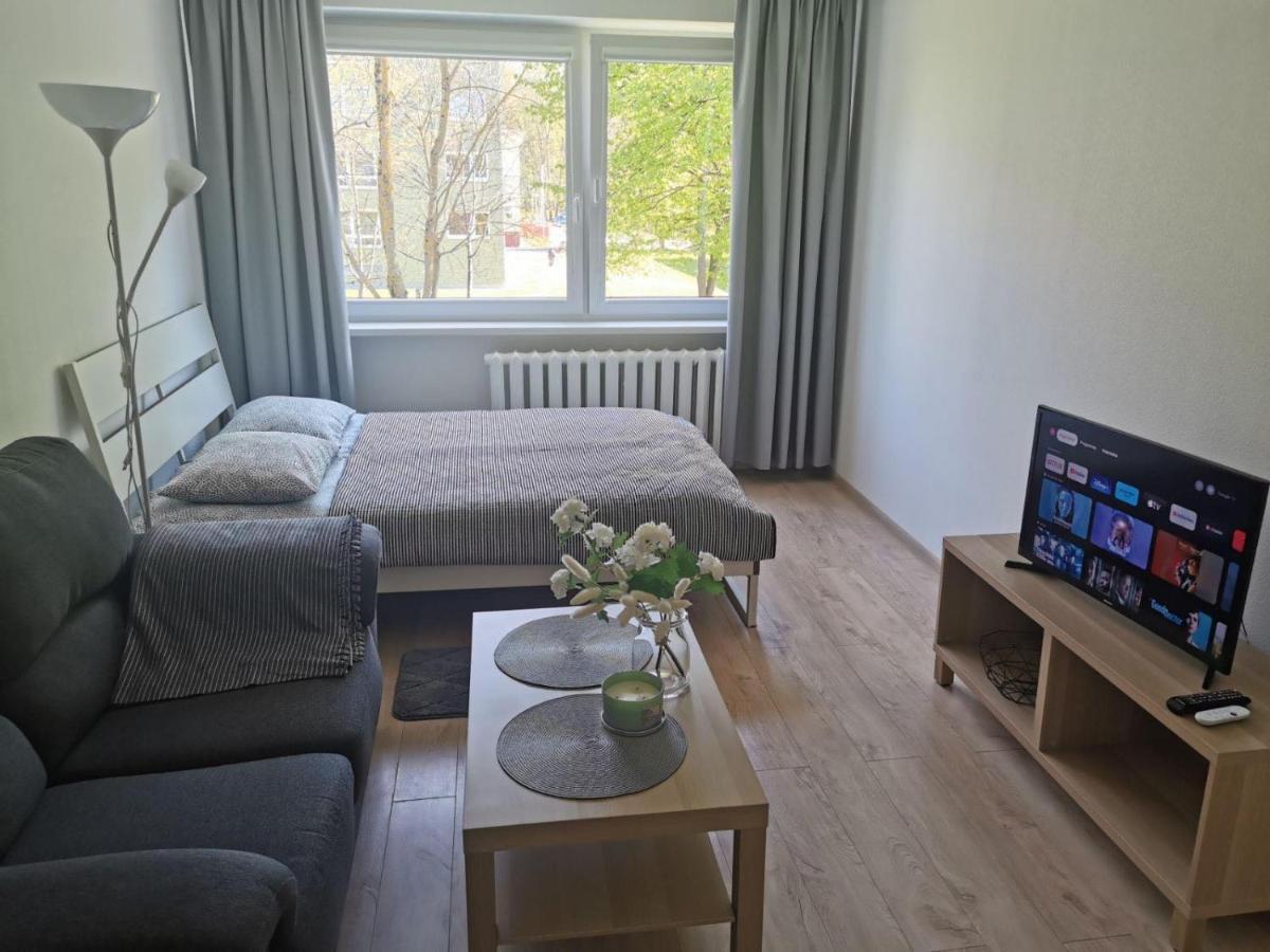 Modern Studio Debreceno, Self-Check-In, Free Parking 克莱佩达 外观 照片