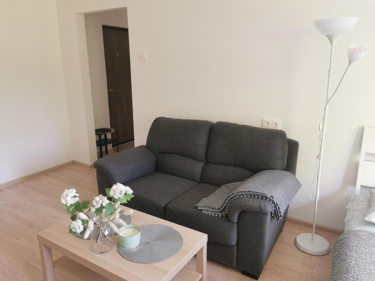Modern Studio Debreceno, Self-Check-In, Free Parking 克莱佩达 外观 照片